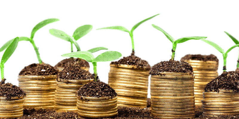 Angel Syndicates & SEIS Funds: A growing alternative for early-stage funding 